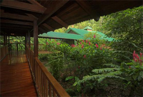 Selva Verde Lodge