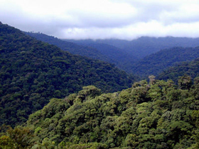 Monteverde, Puntarenas Costa Rica
