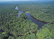 Waterways at Tortuguero National Park in Costa Rica